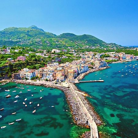 Villa To Ischia With Love Exteriör bild